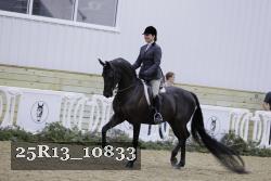 25R13_10833 proof