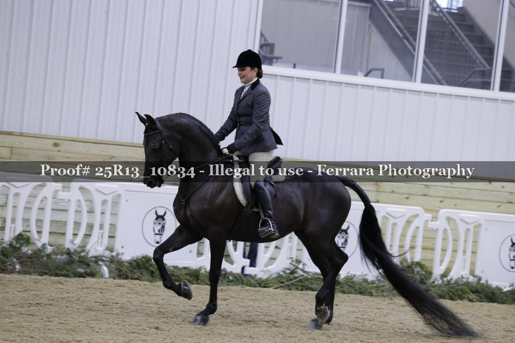 Proof 25R13_10834