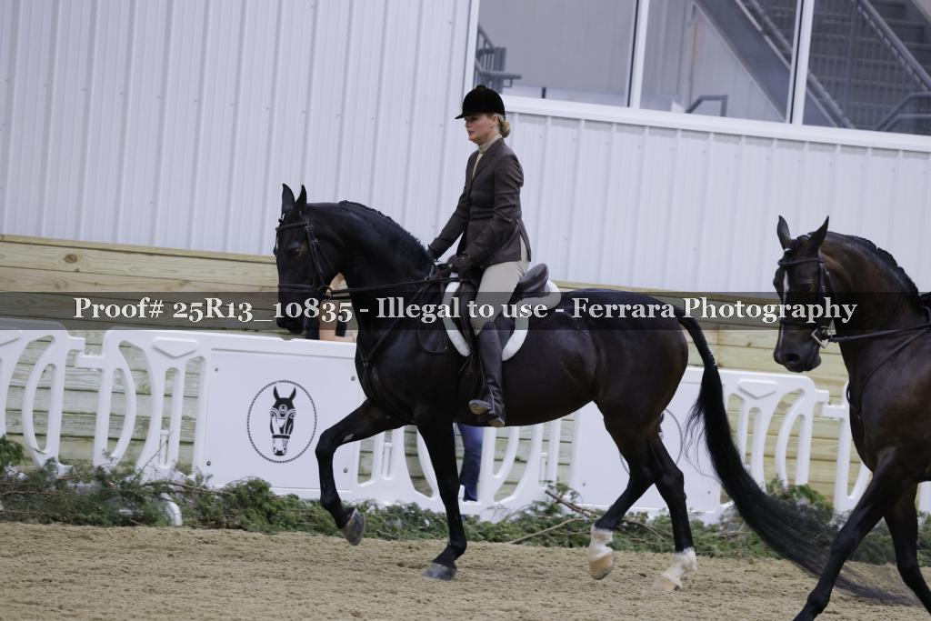 Proof 25R13_10835