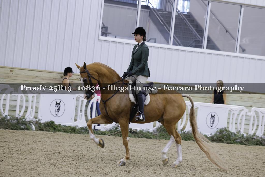 Proof 25R13_10836