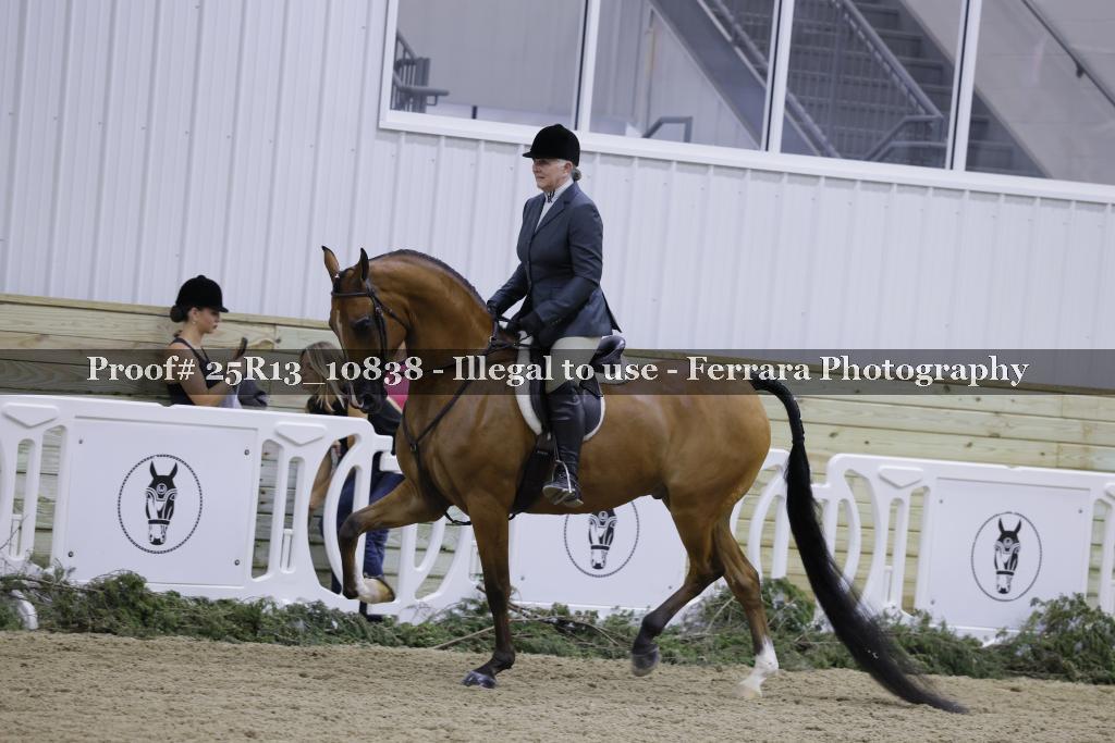 Proof 25R13_10838