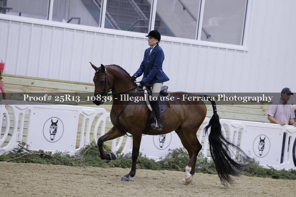 Proof 25R13_10839