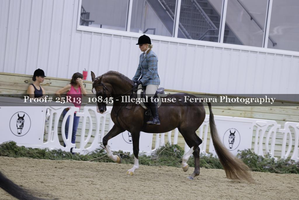Proof 25R13_10845