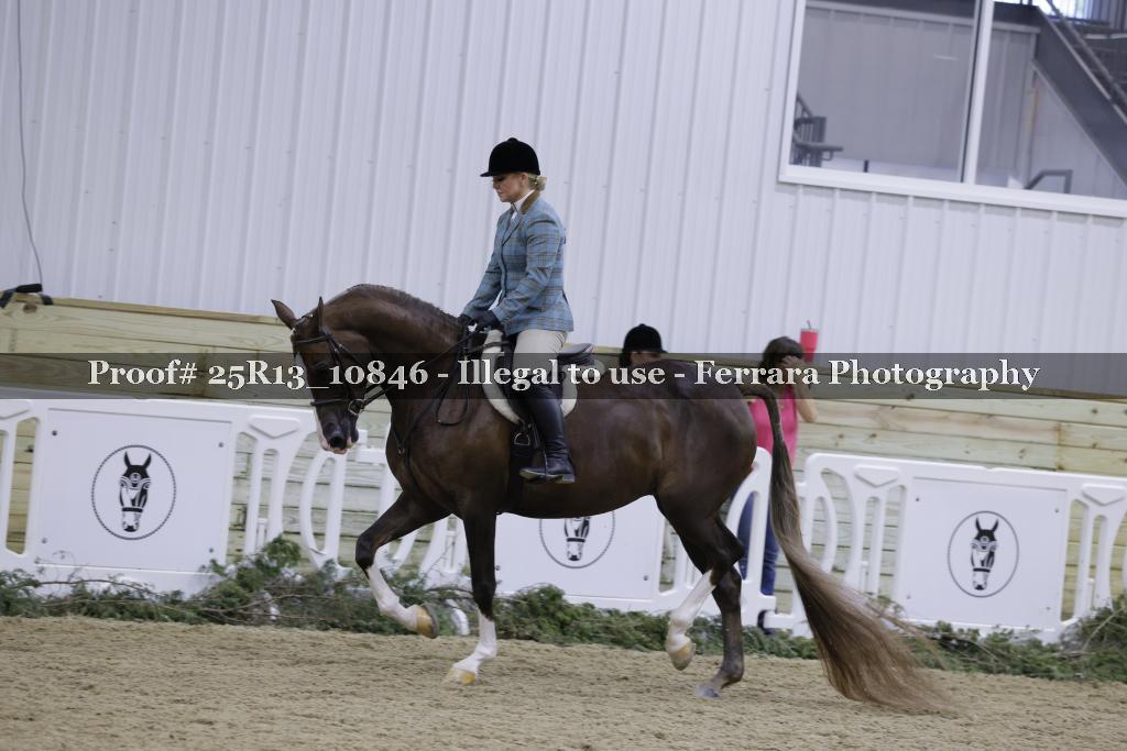 Proof 25R13_10846