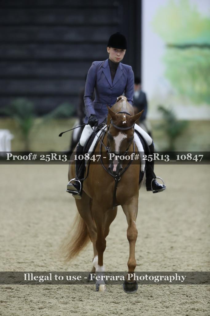 Proof 25R13_10847