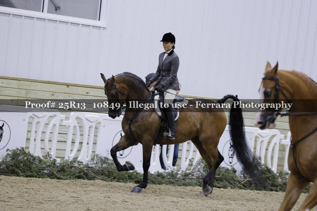 Proof 25R13_10849