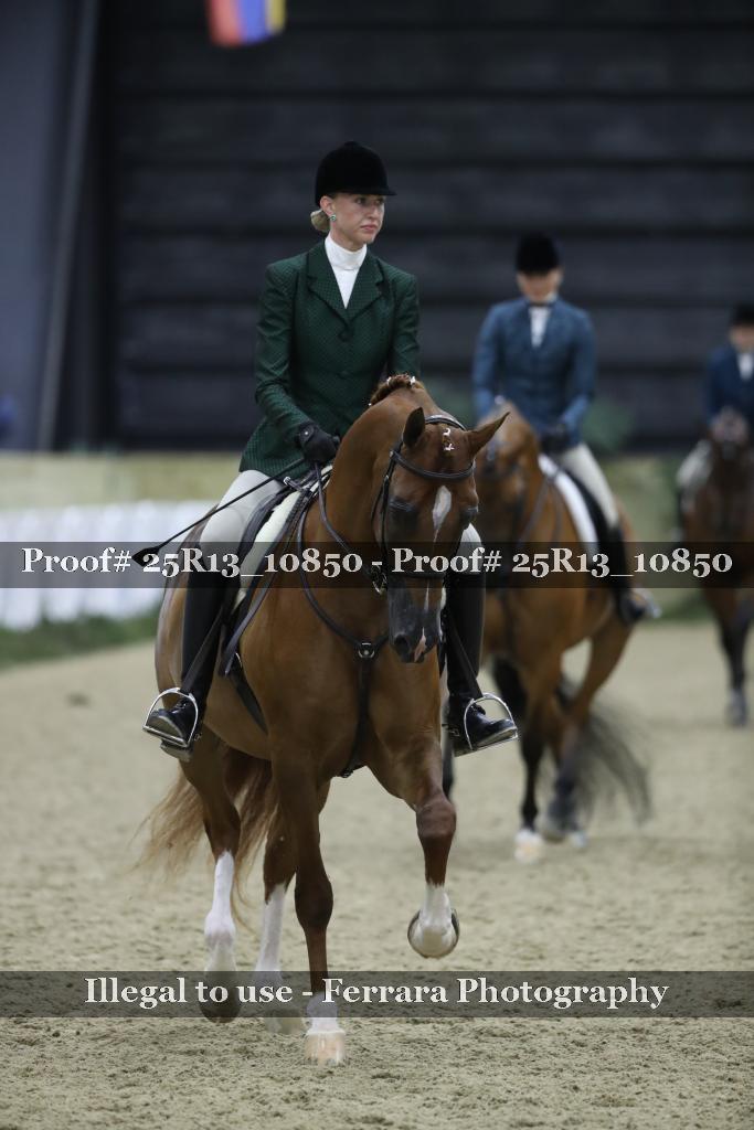 Proof 25R13_10850