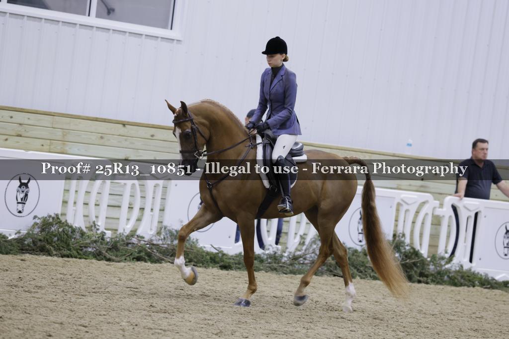 Proof 25R13_10851