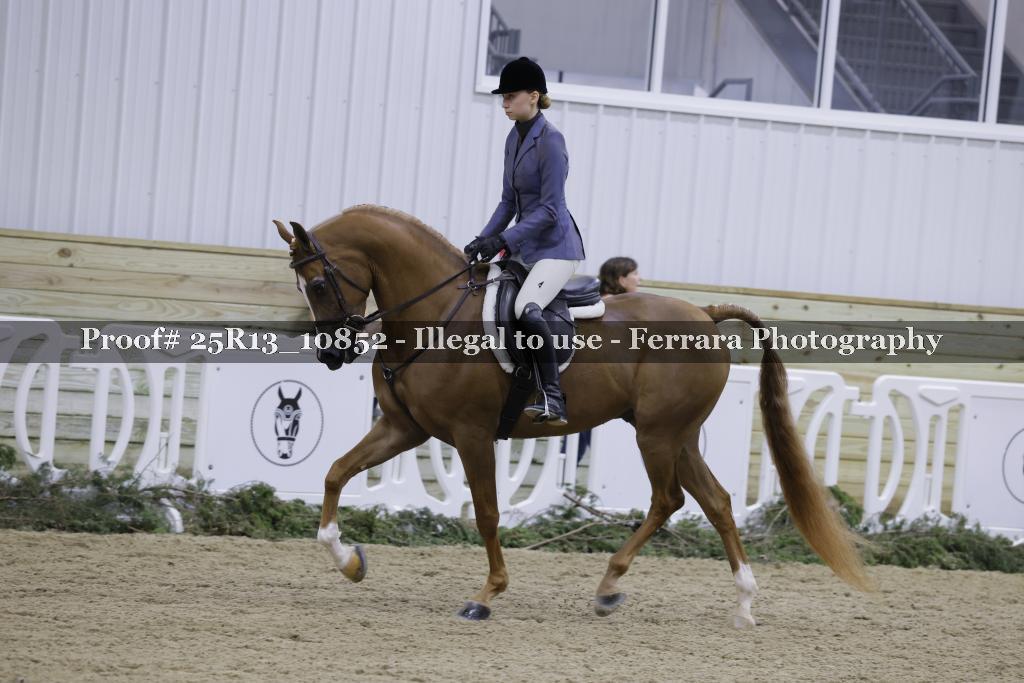 Proof 25R13_10852