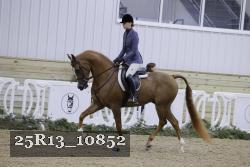 25R13_10852 proof