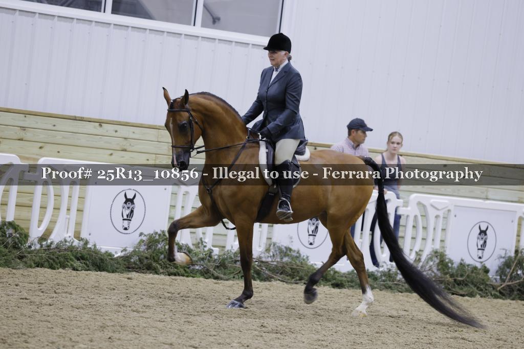 Proof 25R13_10856