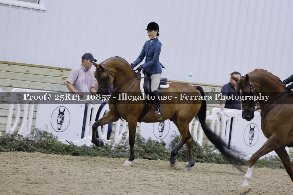 Proof 25R13_10857