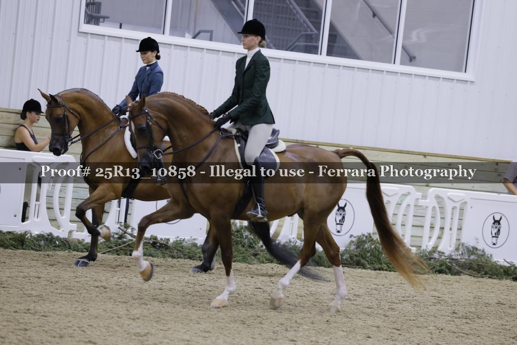 Proof 25R13_10858