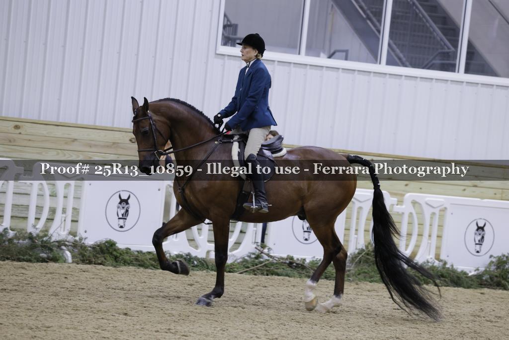 Proof 25R13_10859