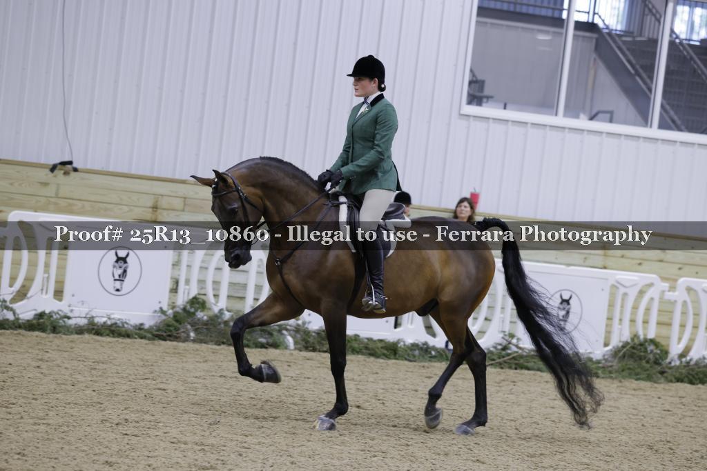 Proof 25R13_10860