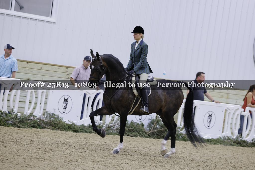 Proof 25R13_10863