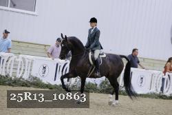 25R13_10863 proof