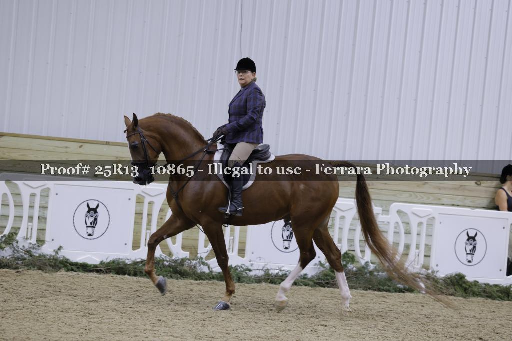 Proof 25R13_10865