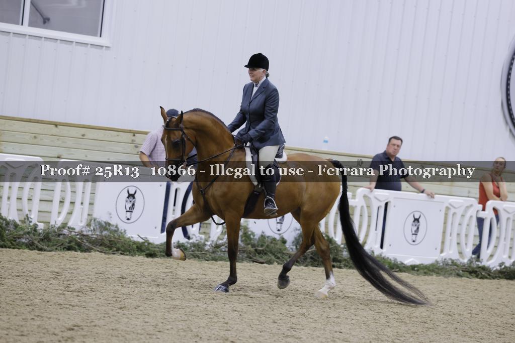 Proof 25R13_10866