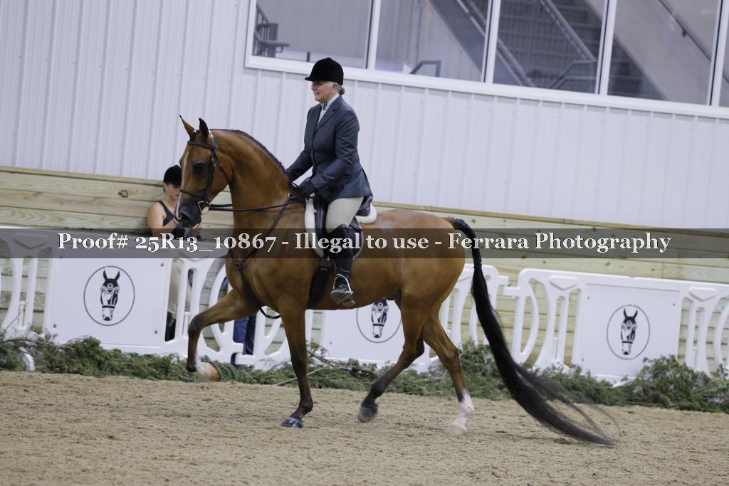 Proof 25R13_10867