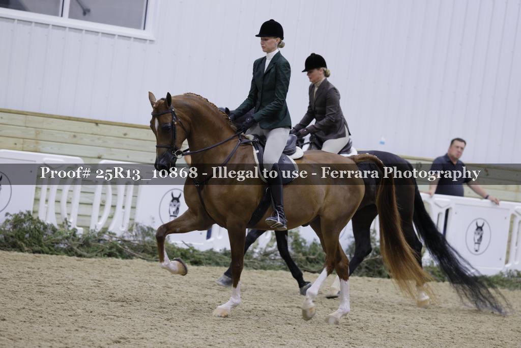 Proof 25R13_10868