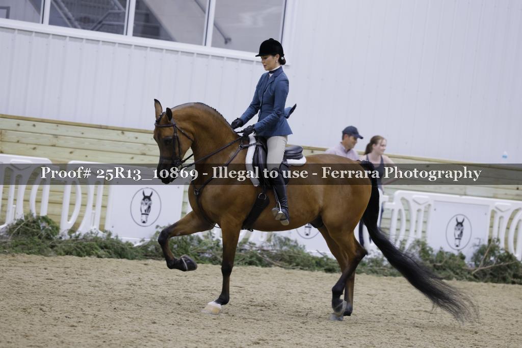 Proof 25R13_10869