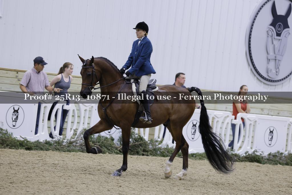 Proof 25R13_10871
