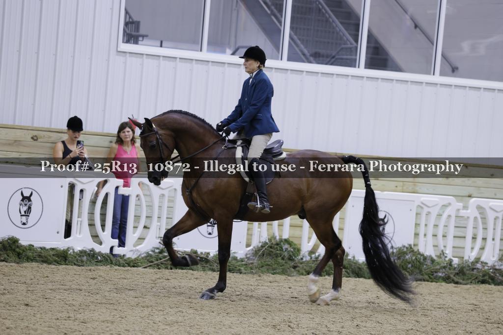 Proof 25R13_10872