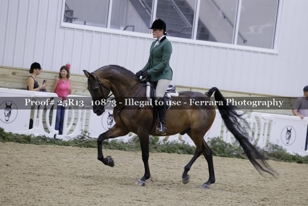 Proof 25R13_10873