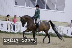 25R13_10873 proof