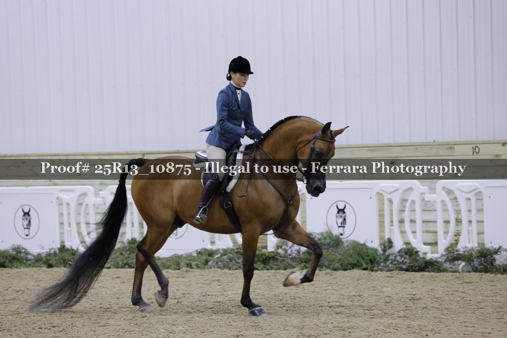 Proof 25R13_10875
