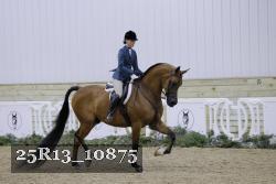 25R13_10875 proof