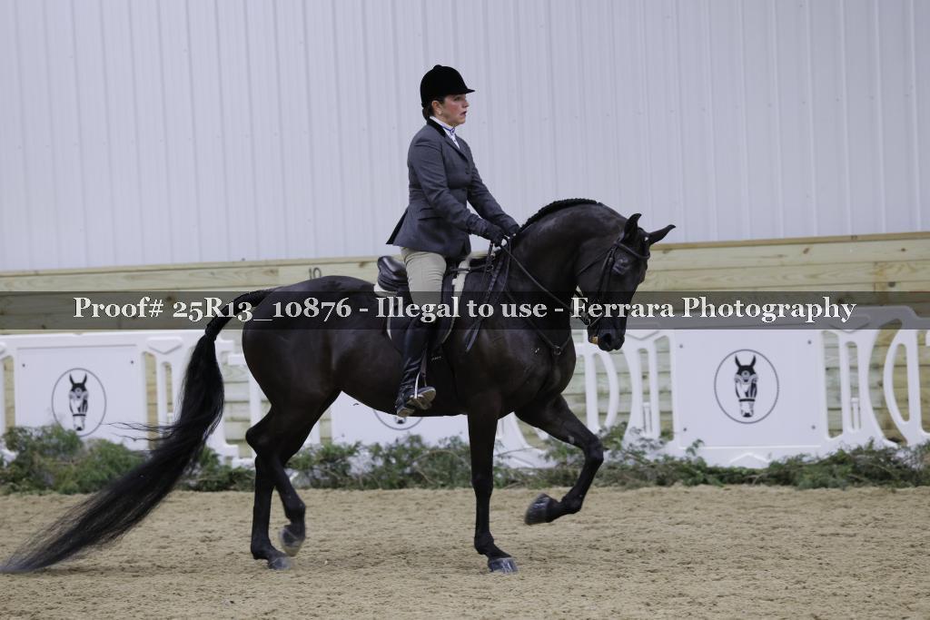 Proof 25R13_10876