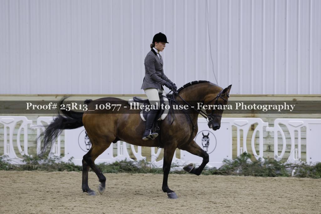 Proof 25R13_10877
