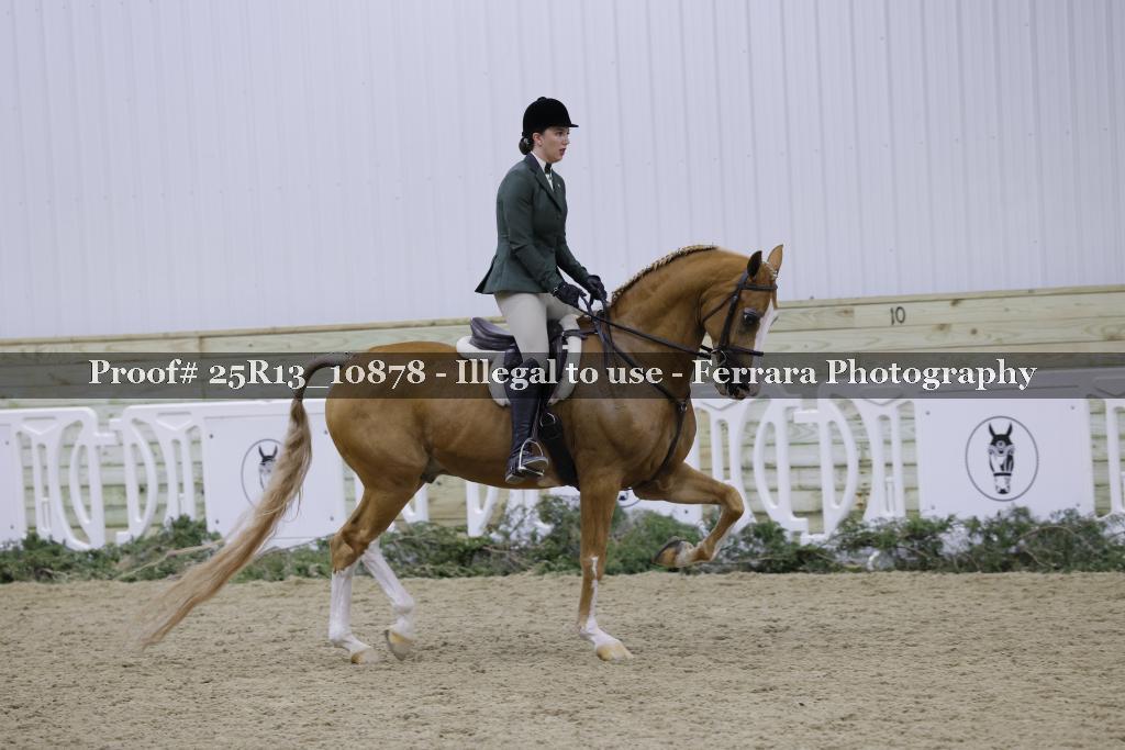 Proof 25R13_10878