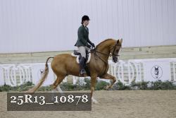 25R13_10878 proof