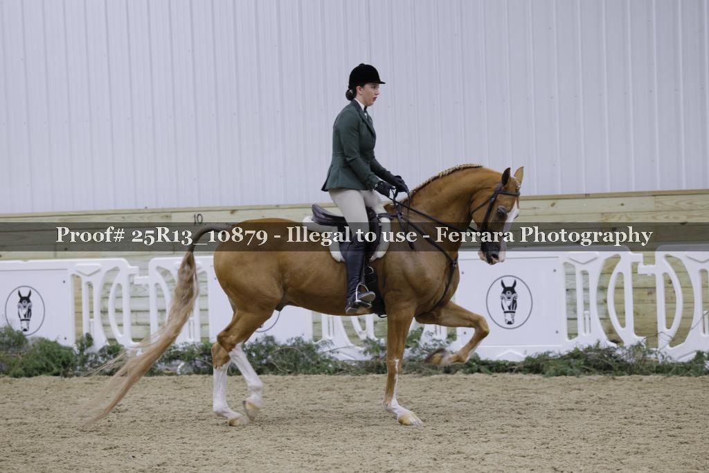 Proof 25R13_10879