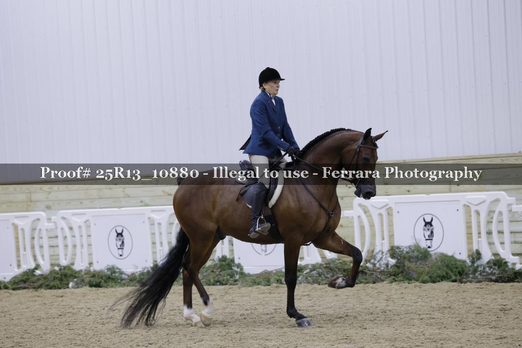 Proof 25R13_10880