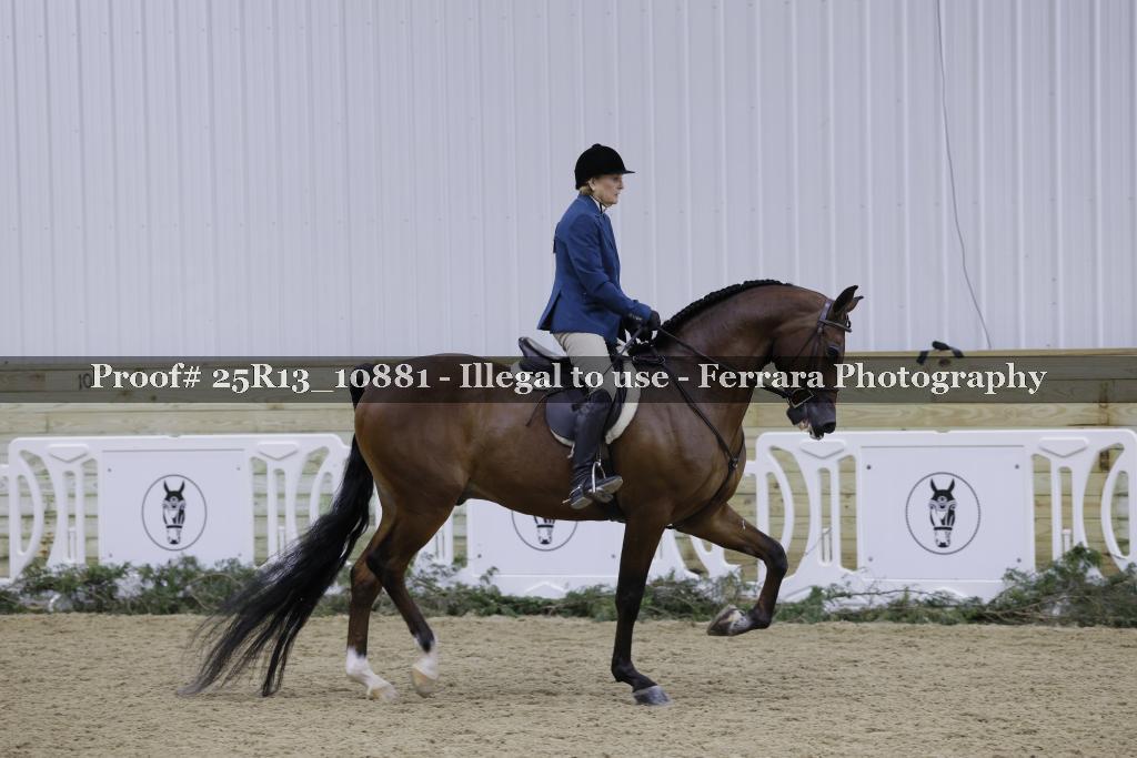 Proof 25R13_10881