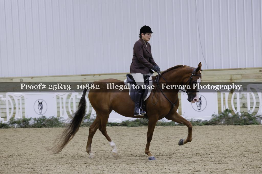 Proof 25R13_10882