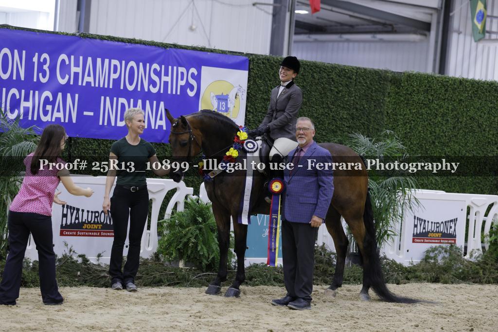 Proof 25R13_10899