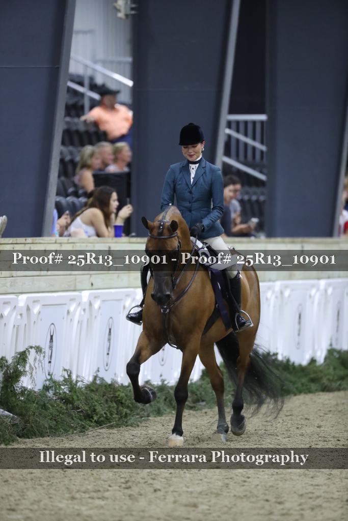 Proof 25R13_10901