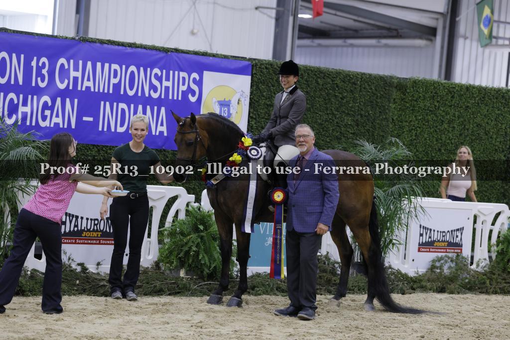 Proof 25R13_10902