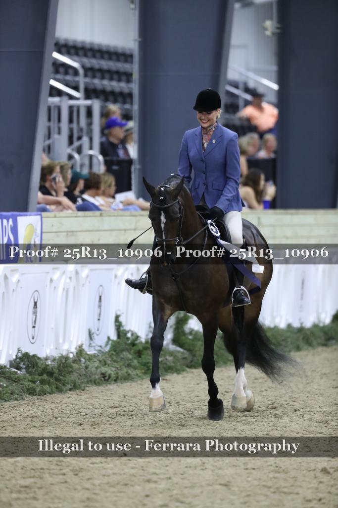 Proof 25R13_10906