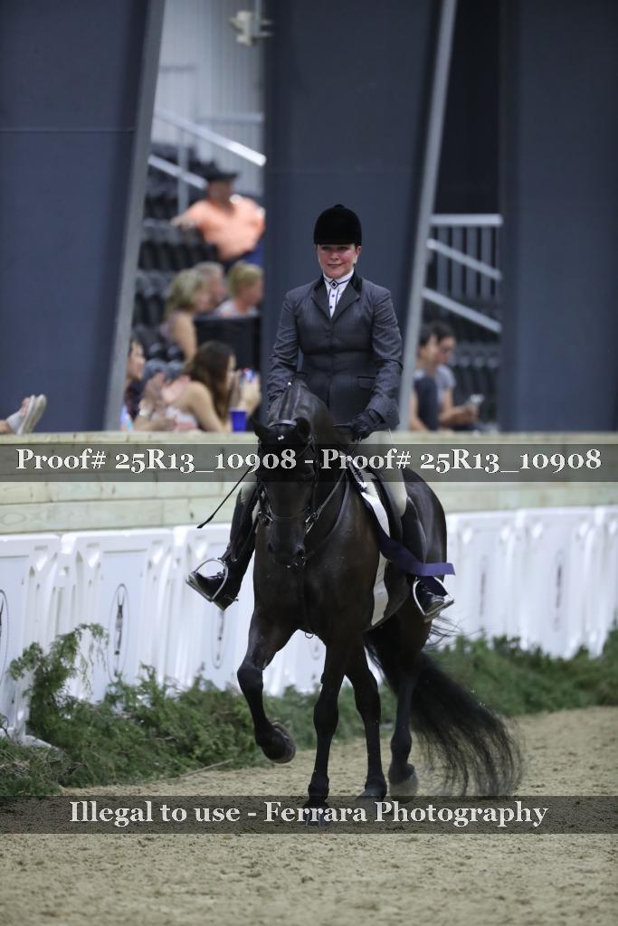 Proof 25R13_10908