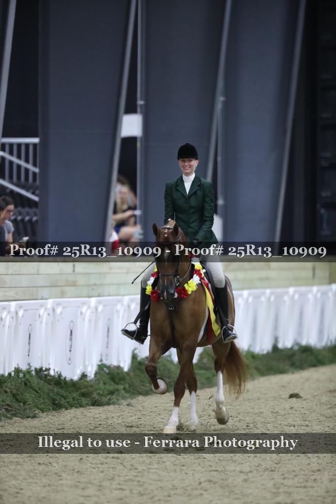 Proof 25R13_10909