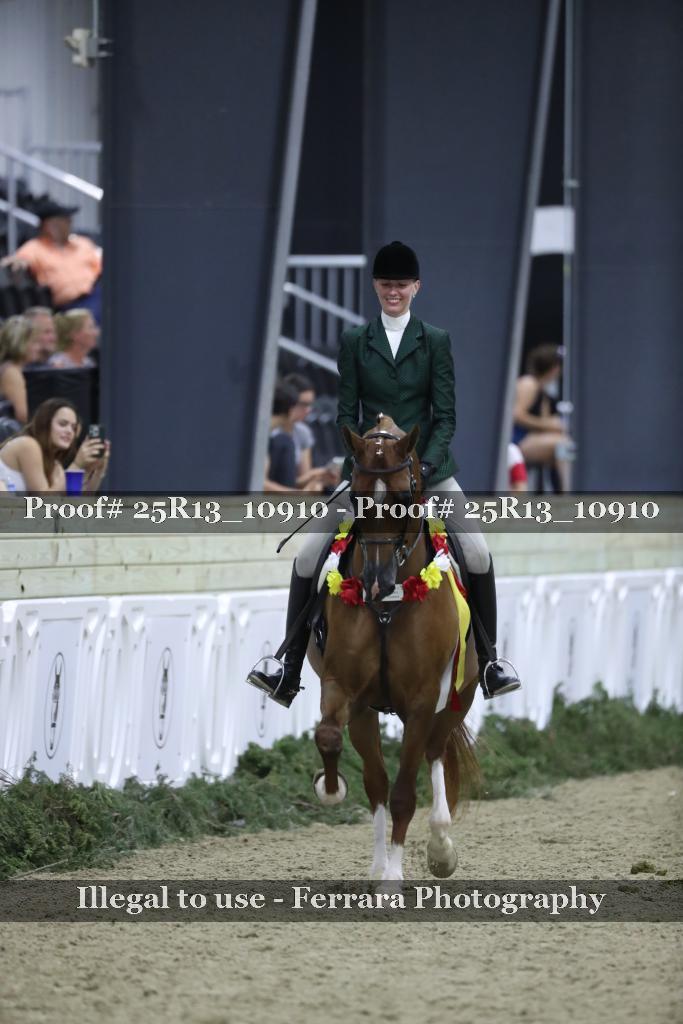 Proof 25R13_10910