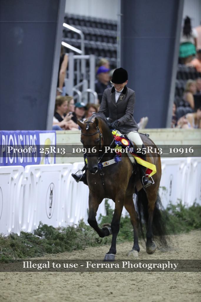 Proof 25R13_10916