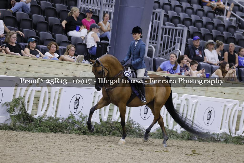 Proof 25R13_10917