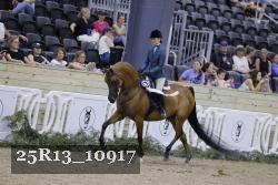 25R13_10917 proof